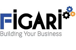 Figari Group
